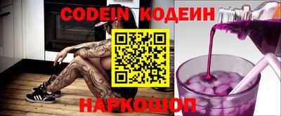 a pvp Камышлов