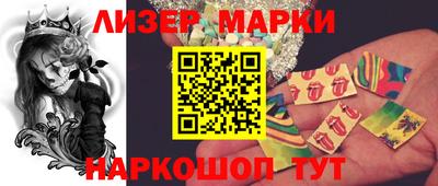 шишки Кандалакша