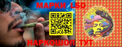 шишки Кандалакша