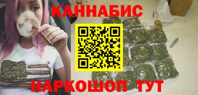 a pvp Камышлов