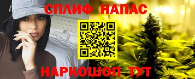 jwh Кингисепп