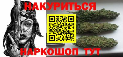 a pvp Камышлов
