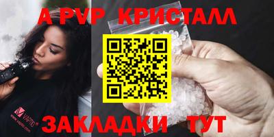 шишки Кандалакша