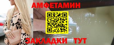 шишки Кандалакша
