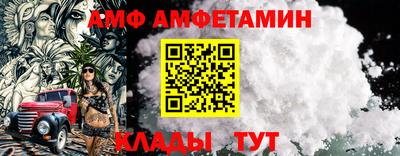 шишки Кандалакша
