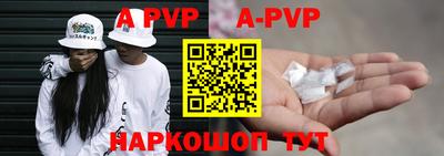 jwh Кингисепп