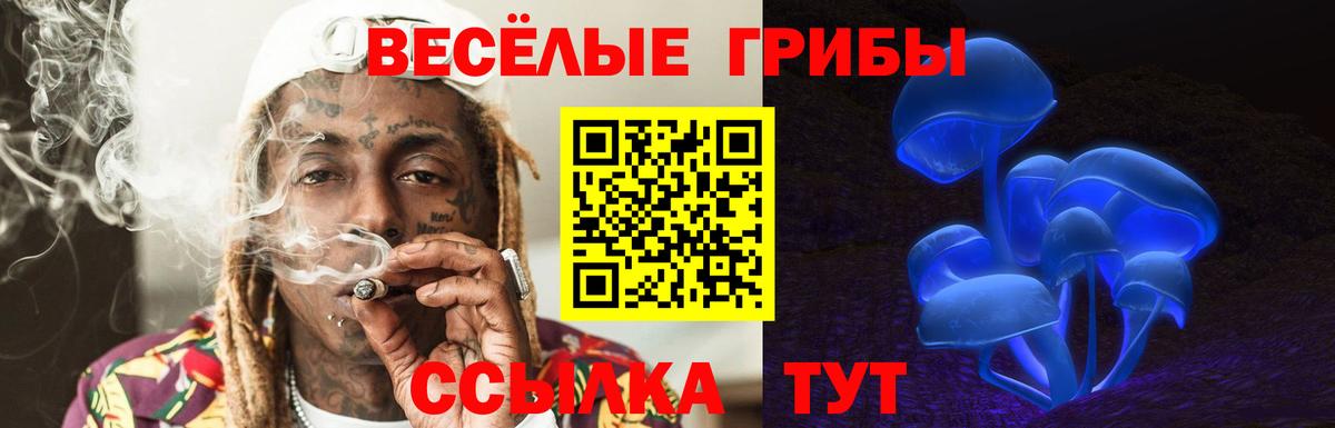 Галлюциногенные грибы мицелий  Вход с VPN  Галлюциногенные грибы прущие грибы  Медногорск 