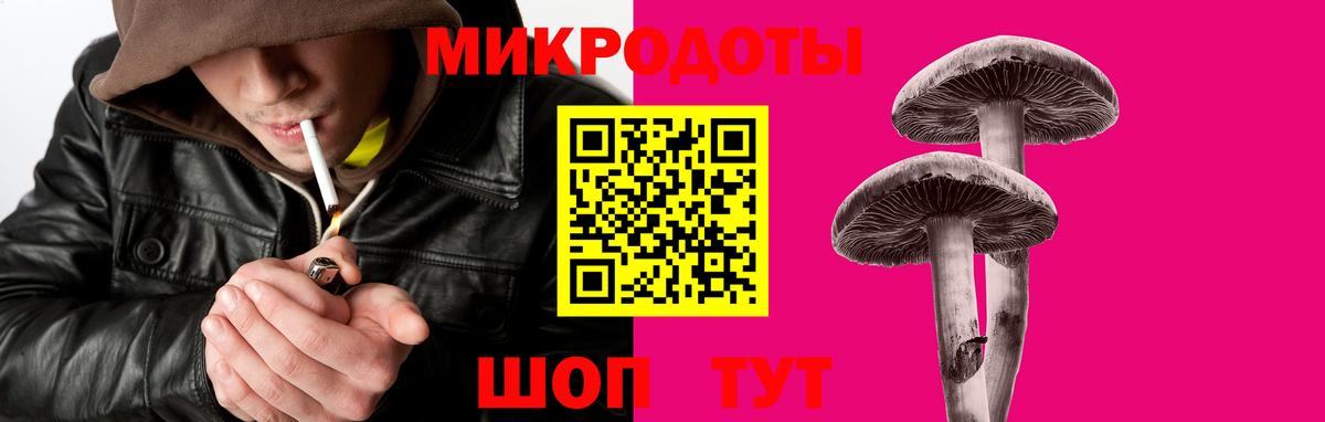 Псилоцибиновые грибы Cubensis Медногорск